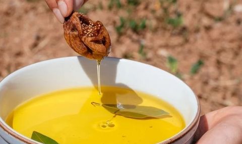 İbn-i Sina'nın Ölümsüzlük Meyvesi: Hünnap