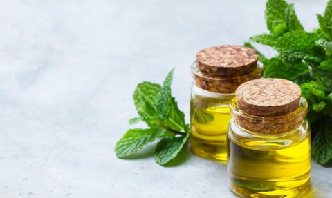 Uykusuzluğa Son Veren Mucizevi Yağ: Nane Yağı