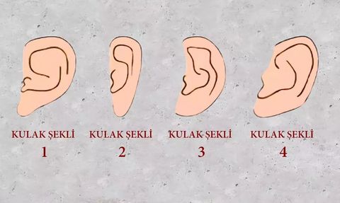 Kulak Şekline Göre Lider Misin?
