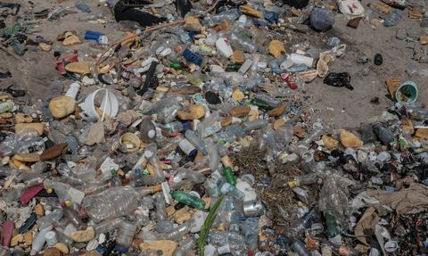 Gine Sahillerindeki Çöp Yığınları Çevre ve İnsan Sağlığı İçin Tehlike Oluşturuyor