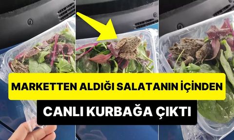 Almanya Merkezli İndirim Marketi Zincirinde Şok Edici Olay