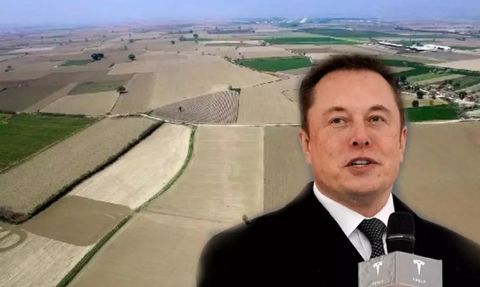Elon Musk Türkiye'ye Yatırım Yapmayı Planlıyor