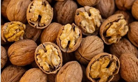 Türkiye'de Ceviz Hasadı ve Fiyatları