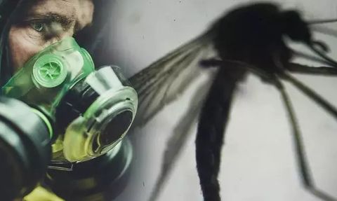 Yunanistan'da virüs nedeniyle 20 kişi hayatını kaybetti