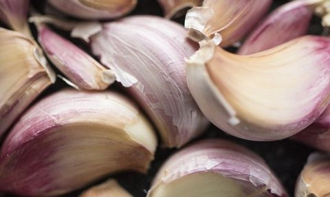 6 Diş Kavrulmuş Sarımsak Yerseniz Ne Oluyor? Vücuda Sağladığı Etki İlk Kez Kanıtlandı