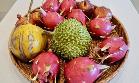 Vücutta Bulunan İltihabı Temizleyen Ejder Meyvesi