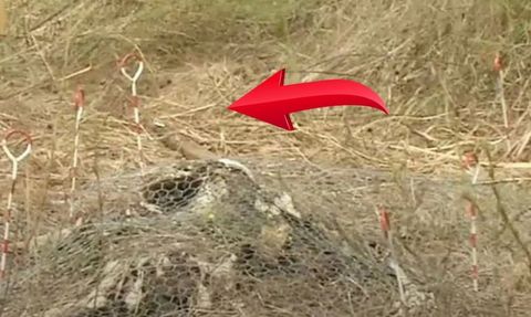 Ölü bedenlerin araştırma için kullanıldığı korkunç mezarlık