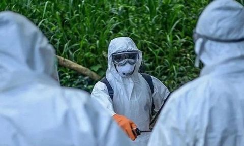 Zimbabve'de Kolera Salgını: 55 Kişi Hastaneye Kaldırıldı