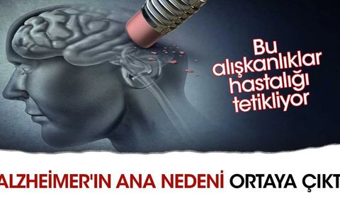 Alzheimer'ın Ana Nedeni ve Önlemler