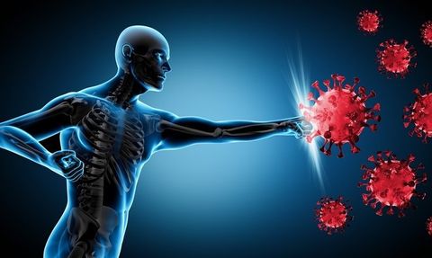 Bağışıklık Sistemini Güçlendiren Besinler