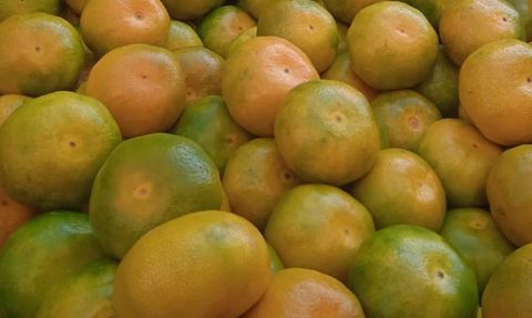 Eskişehir Pazarlarında Mandalina Talebi Artıyor