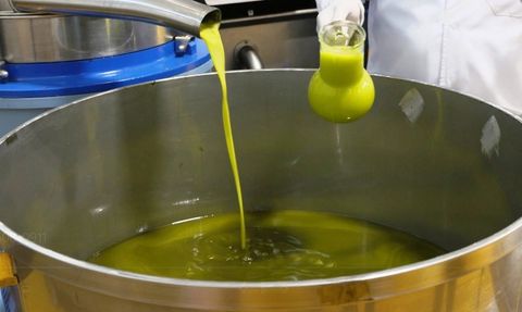 Zeytinyağı Fiyatları Neden Yükseliyor?