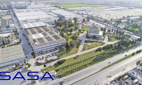 SASA'nın Çıkarılmış Sermayesi Yükseldi, Fiili Dolaşımdaki Pay Oranı Arttı