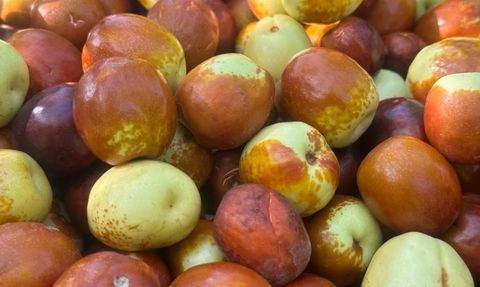 Hünnap ve Yoğurdun Sağlığa Faydaları