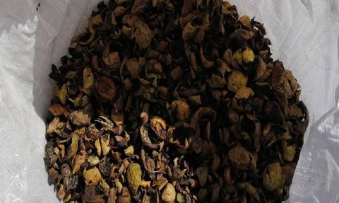 Yıllardır çöp diye atıyoruz! Meğer saç dökülmesinin çözümü ondaymış: Rapunzel gibi saçların tek sırrı