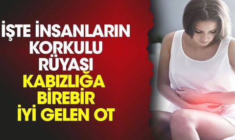 İnsanların Korkulu Rüyası Kabızlığa İyi Gelen Meragülü Otu