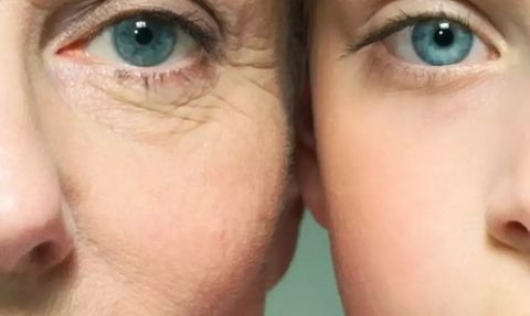 Turp Otunun Bilinmeyen Faydaları