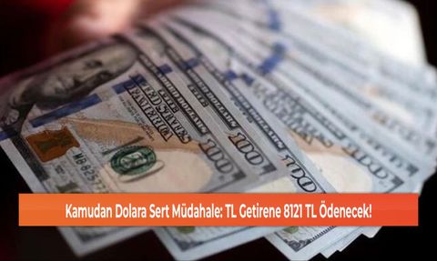 Kamu Bankaları Dövize Müdahale Etti: TL Getirene 8.121 TL Ödeme Yapılacak