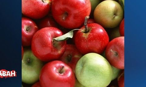 Elma Tüketmenin Faydaları ve Kafein İçeriği