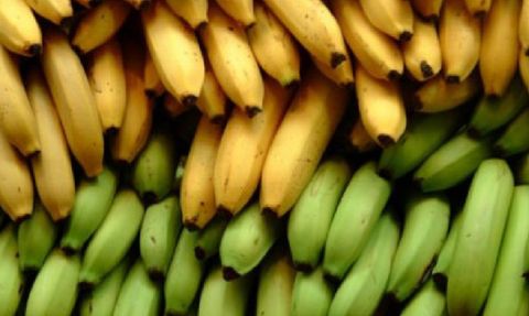 Muzu Böyle Yiyenler Bin Pişman! Öyle Bir Zararı Varmış Ki...