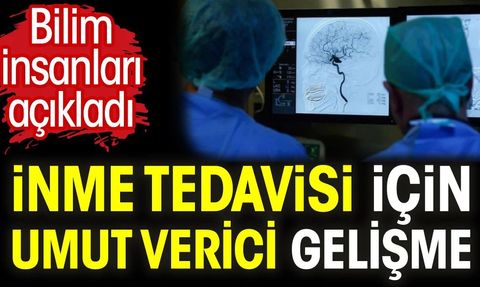 İnme Tedavisi İçin Yeni Bir Yöntem Geliştirildi
