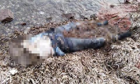 Muğla Bodrum'da Sahilde Kadın Cesedi Bulundu