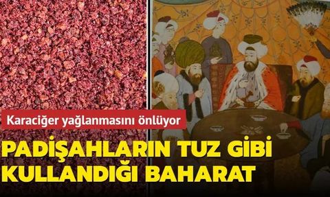 Sumak Baharatının Faydaları