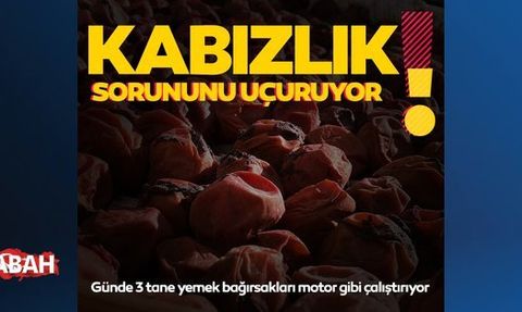 Bağırsakları Motor gibi Çalıştıran Kuru Kayısı