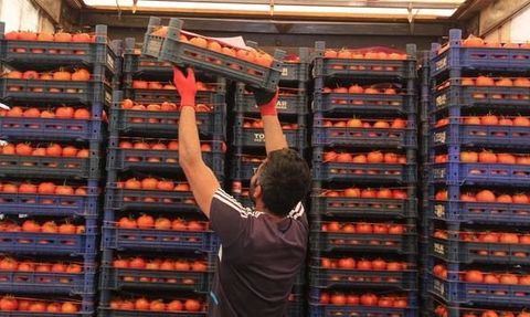 Küresel Gıda Fiyatları Düşerken Türkiye'de Artış Devam Ediyor