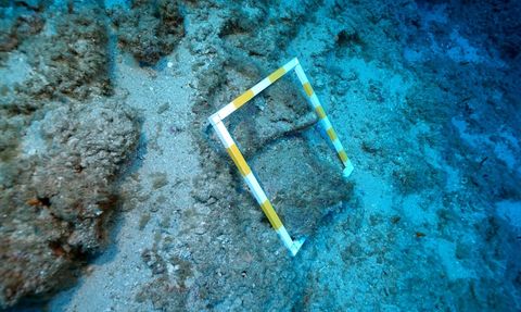 Antalya'daki 3.600 Yıllık Batık Gemide Kazı Çalışmaları Devam Ediyor