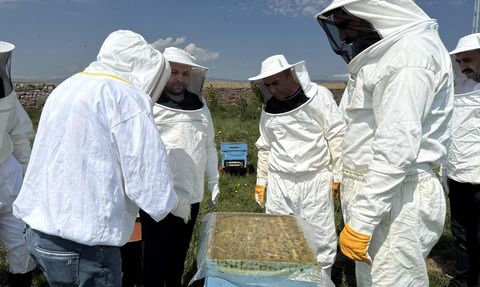 Ardahan Çiçek Balı Hasadı Kafkas Arısı Merkezinde Başladı