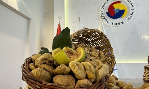 Aydın'da İlk Kuru İncir Satışı Başladı