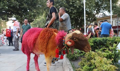 Denizli'de Geleneksel 'Sudan Koyun Geçirme' Etkinliği Kortej Yürüyüşüyle Başladı