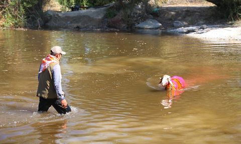 Denizli'de Taşıma Su ile Düzenlenen Geleneksel Koyun Geçirme Yarışması