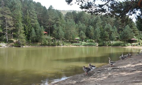 Limni Gölü Tabiat Parkı 100 Bin Ziyaretçiyi Ağırladı