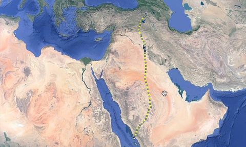 Poyraz Kuşu Göç Etti: 5 Günde 8 Bin Kilometre Uçtu
