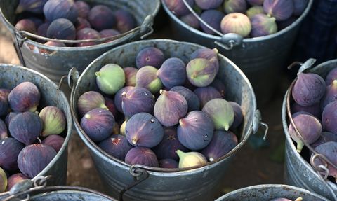 Bursa Siyah İnciri'ne AB Tescili