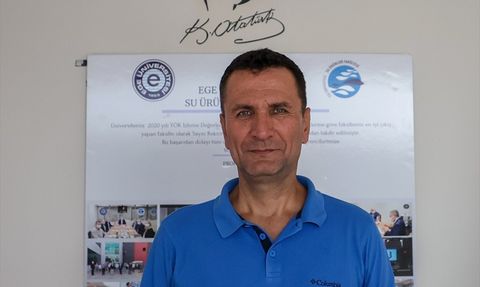 İzmir Körfezi'nde Oksijen Krizi: Midyeler de Etkilendi