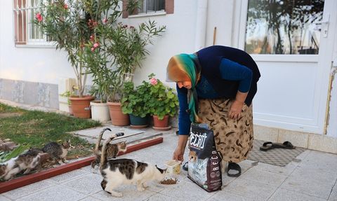 Kayseri'de Yaşlı Kadının Kedilerine Mama Desteği
