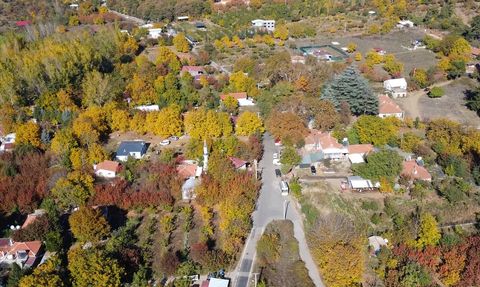 Ovacık Yaylası'nda Sonbahar Güzellikleri