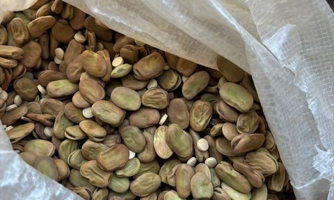 Kaçakçılığa Geçit Yok: Gümrük Muhafaza Ekipleri İki Büyük Operasyona İmza Attı