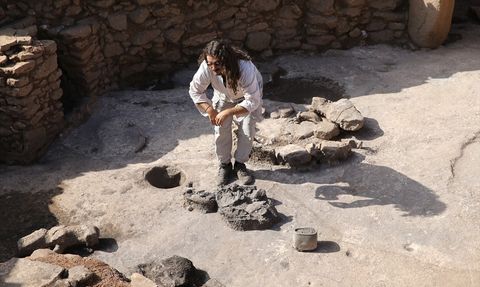 Karahantepe Kazı Alanında Leopar Kemikleri Bulundu