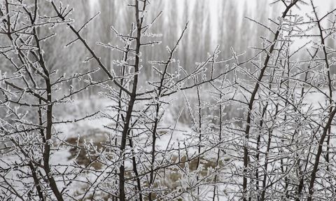 Tunceli'nin Ovacık İlçesinde Kış Manzarası