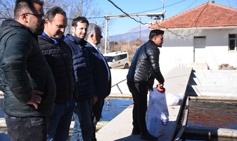 Afyonkarahisar'dan Avrupa'ya Alabalık İhracatı Başarıyla Devam Ediyor