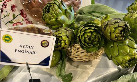 Aydın Enginarı ve Söke Peksimeti Coğrafi İşaret Tescili Aldı