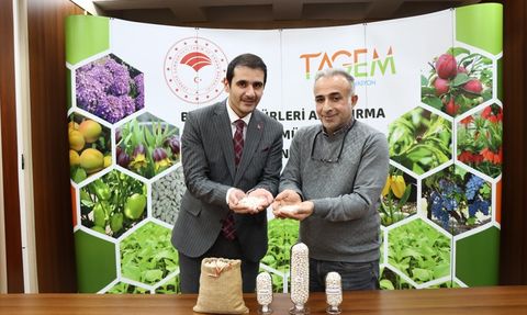 Erzincan'da Yeni Kuru Fasulye Çeşitleri Tescil Başvurusu Yaptı