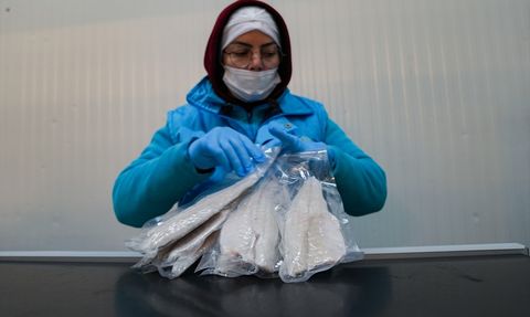 Su Ürünleri İhracatında Hedef: 2,5 Milyar Dolar