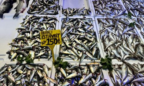 Trabzon'da Balık Fiyatları