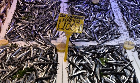 Trabzon'da Hamsi Fiyatları