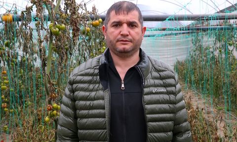 Hatay'da Zirai Don Tarım Ürünlerini Vurdu